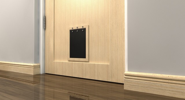 Cat Flap Installation East Dulwich, SE22