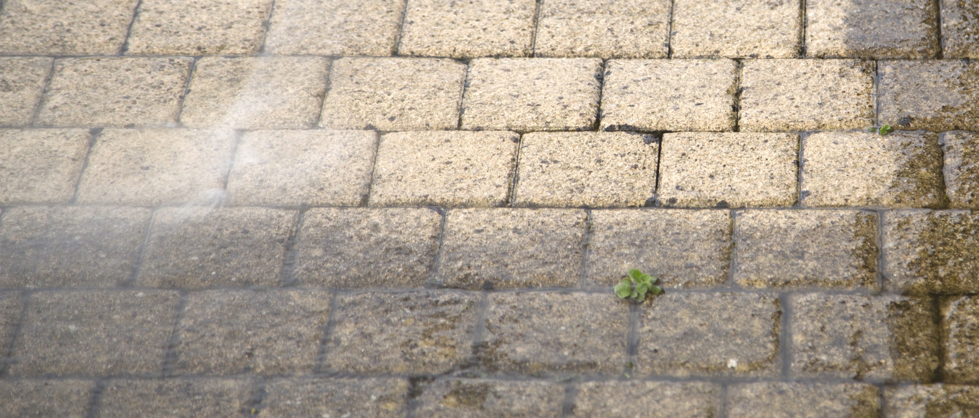 flagging and patios SE22