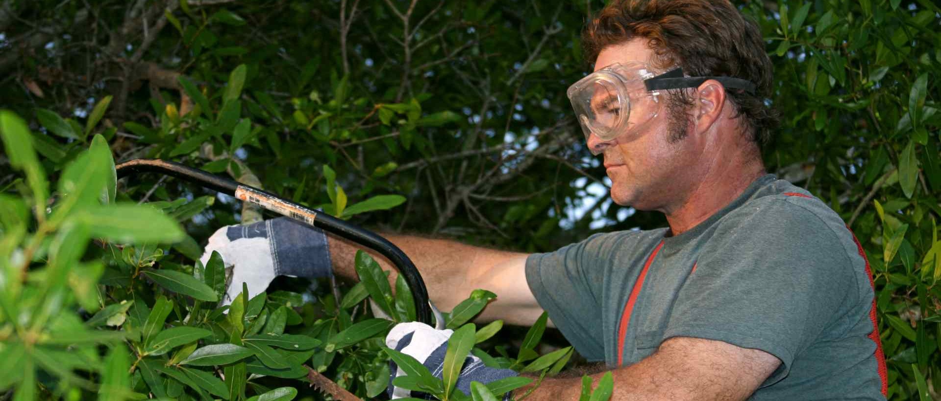 garden clearance SE22